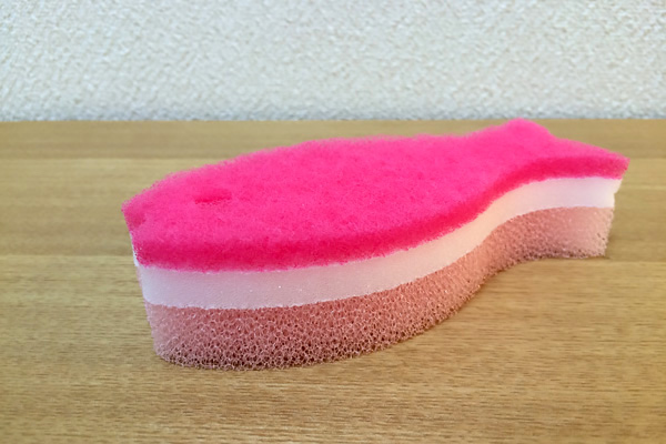 Marna fish sponge close-up